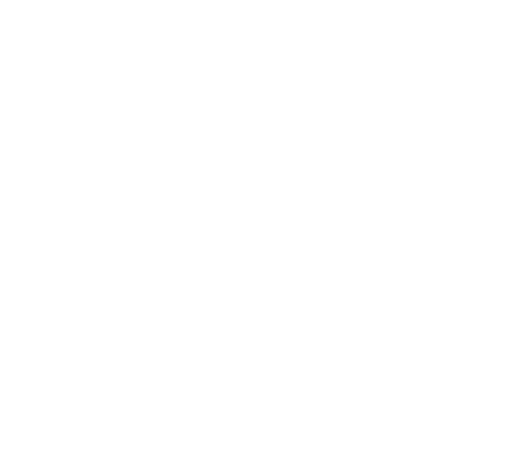 Dermot Whelans Logo in White